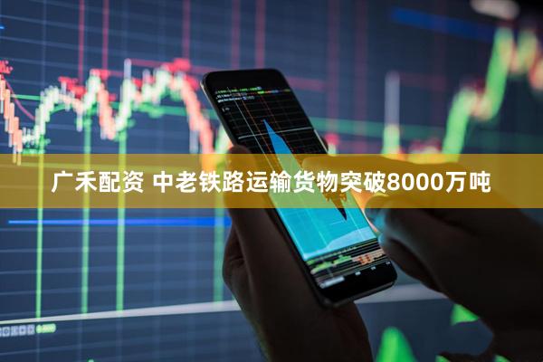 广禾配资 中老铁路运输货物突破8000万吨