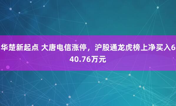 华楚新起点 大唐电信涨停，沪股通龙虎榜上净买入640.76万元