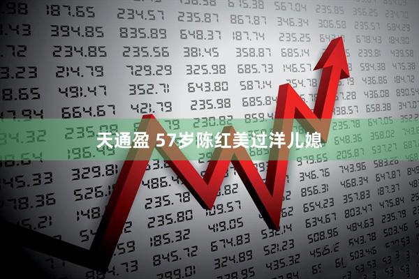 天通盈 57岁陈红美过洋儿媳