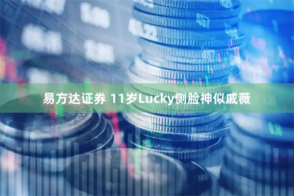 易方达证券 11岁Lucky侧脸神似戚薇