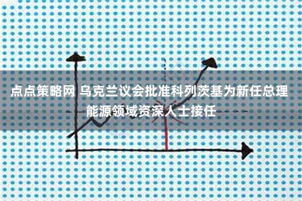 点点策略网 乌克兰议会批准科列茨基为新任总理 能源领域资深人士接任